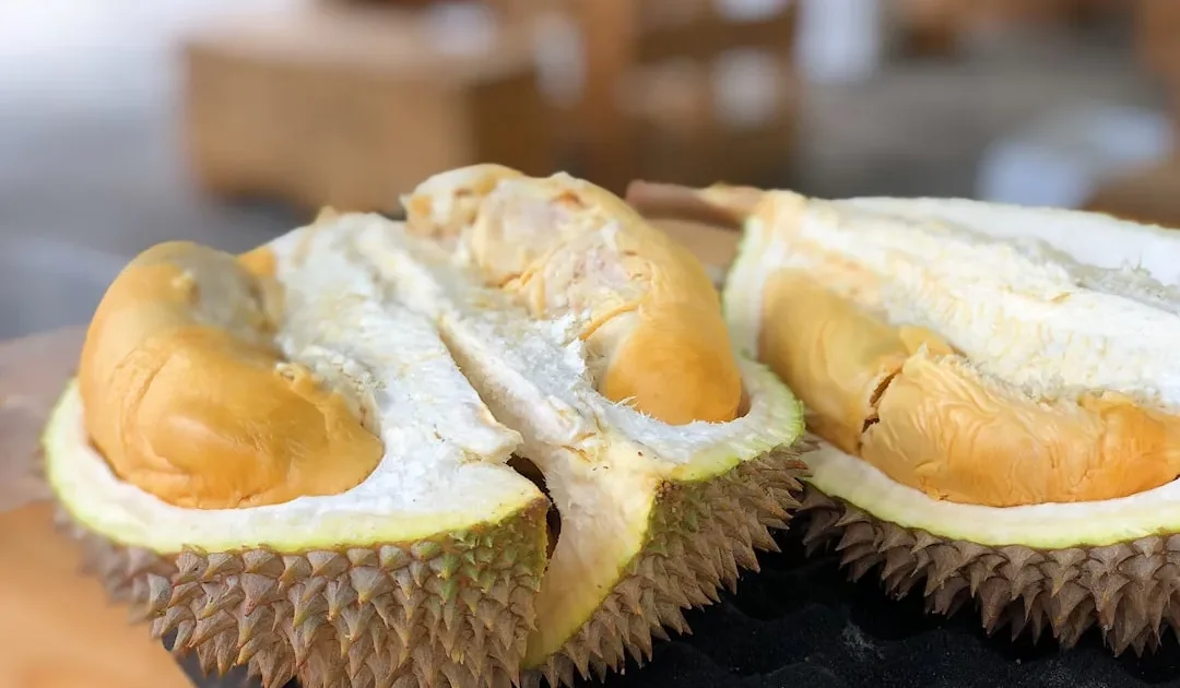 Durian Montong Bulo: Dari Kampung ke Pasar Dunia