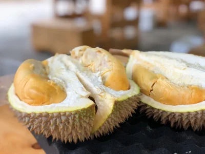 Durian Montong Bulo: Dari Kampung ke Pasar Dunia