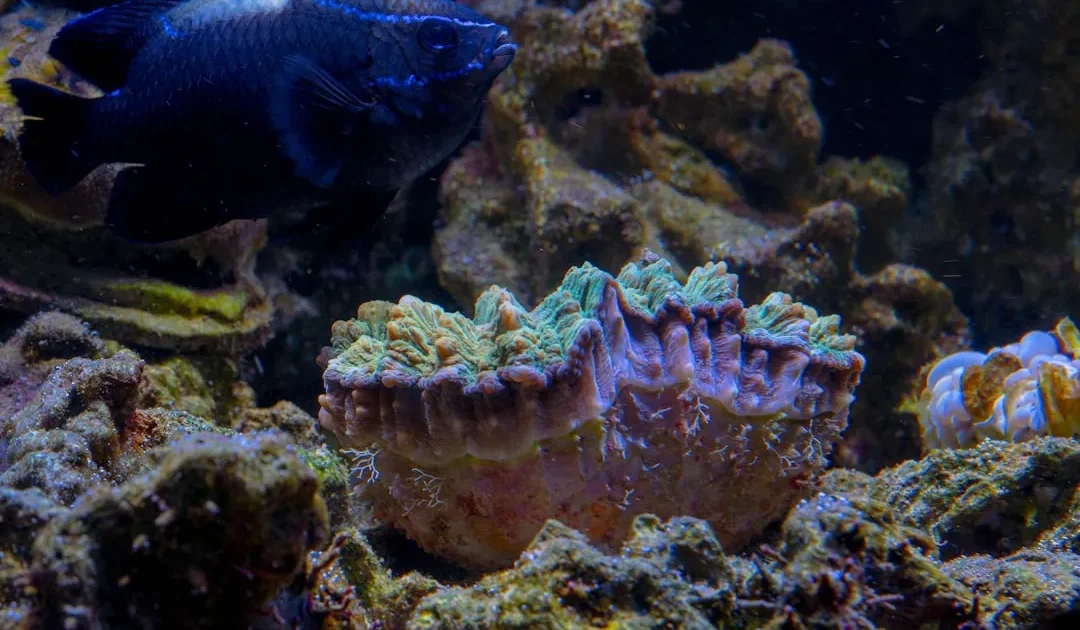 indonesian river food