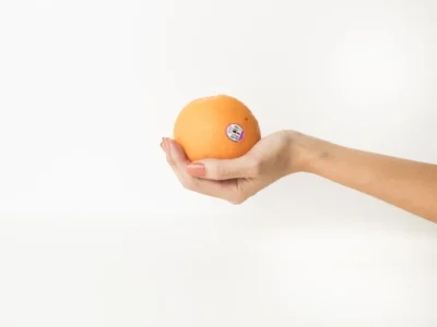 Cara Masak Opor Ayam Santan Gurih Anti Pecah, Ini Resep dan Saran Penyajiannya