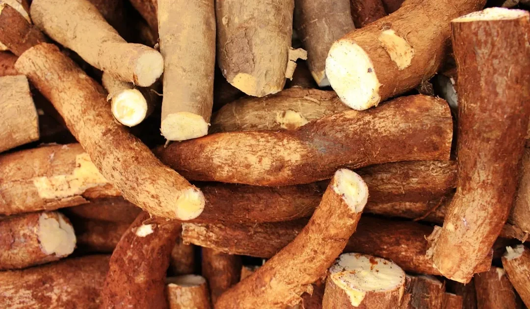 Resep Singkong Goreng Merekah, Renyah dan Legit Banget