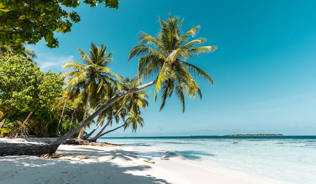 Phu Quoc Geser Bali? Cara Lihat Tren Ini Secara Santai
