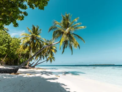 Phu Quoc Geser Bali? Cara Lihat Tren Ini Secara Santai