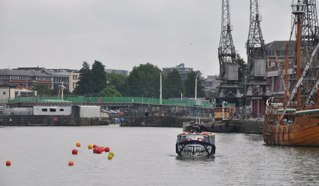 Hiu Gangga Sungai Sesayap: Langka, Bukan Spot Wahana