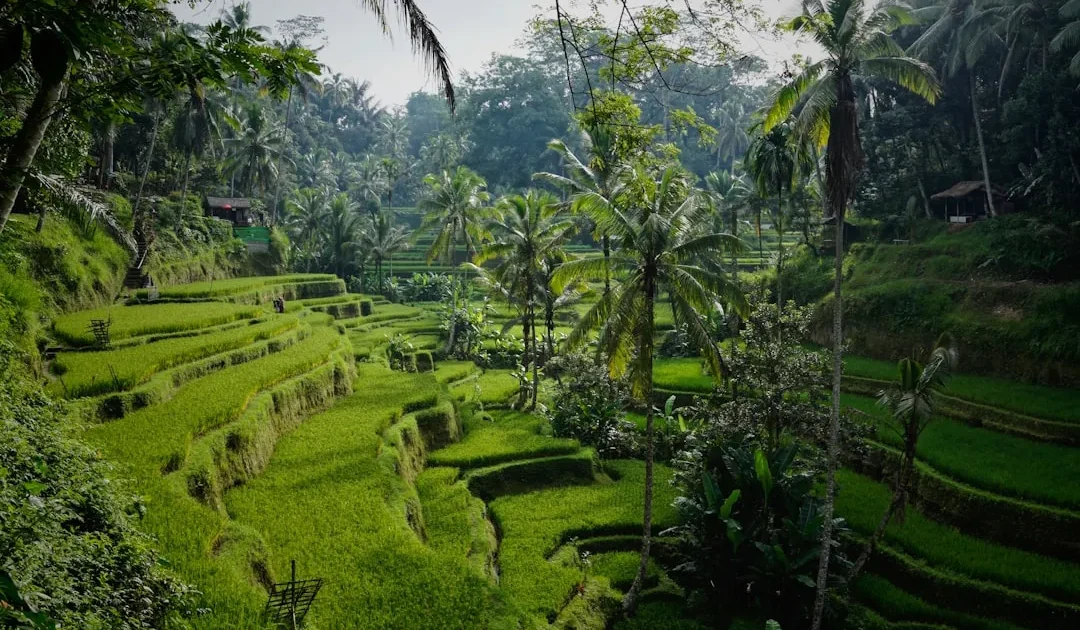 12 Tempat Wisata Tabanan yang Bikin Betah Lama-Lama