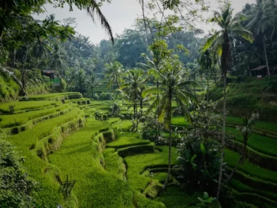 12 Tempat Wisata Tabanan yang Bikin Betah Lama-Lama