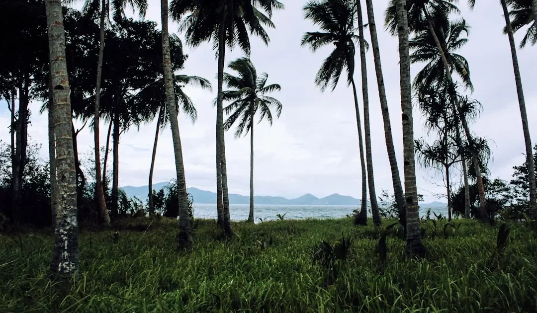 Zona Waktu Maluku: WIT, Jadwal Trip, dan Spot Keren
