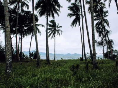 Zona Waktu Maluku: WIT, Jadwal Trip, dan Spot Keren